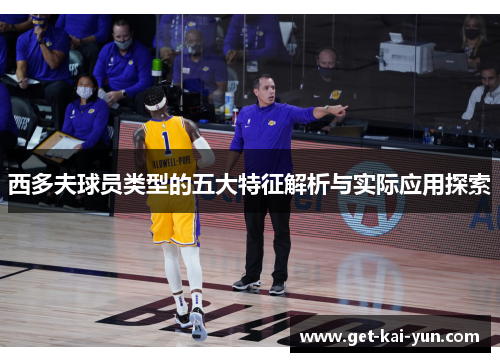 西多夫球员类型的五大特征解析与实际应用探索