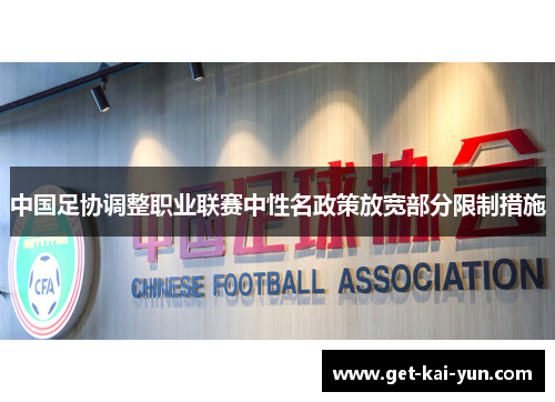 中国足协调整职业联赛中性名政策放宽部分限制措施