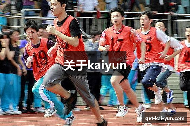 关于kaiyun